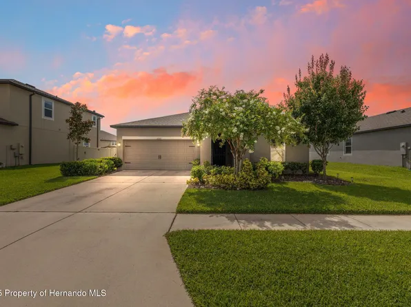 12313 Criollo Rd, Spring Hill, FL 34610