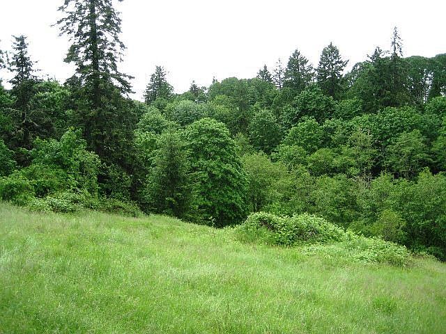 2nd image of Davis Creek Rd