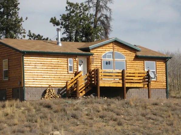 55 Falcon Rd, Como, CO 80456