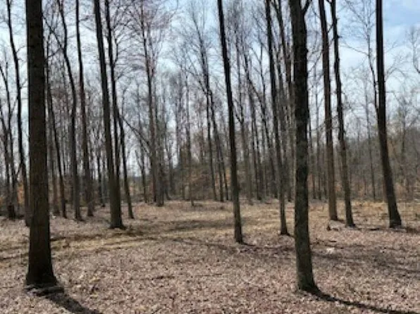 0 Poplar Haven Rd, Scottsville, KY 42164