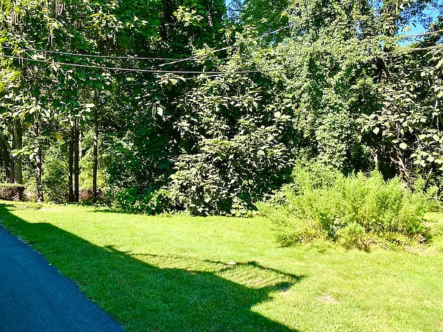 90 Washington Park Dr #10 — Photo 10