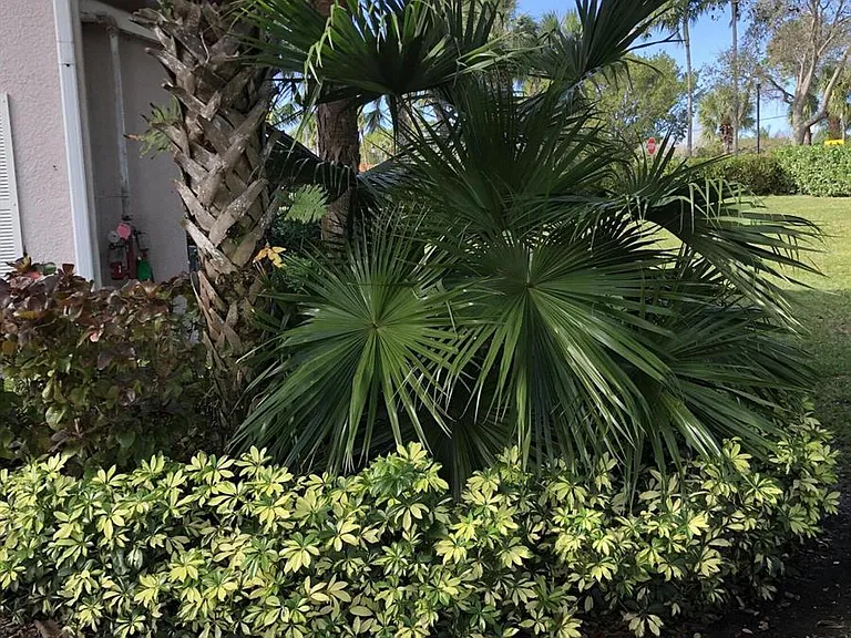 3023 Alcazar Pl #305 — Photo 6