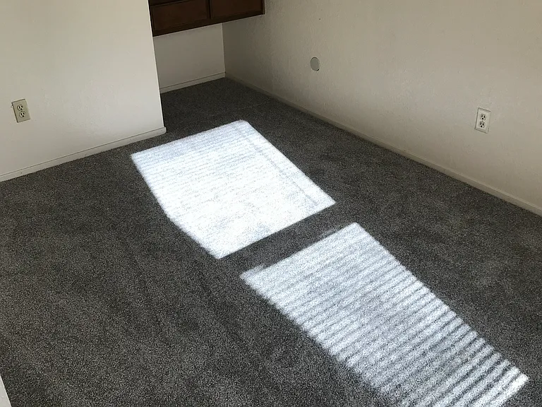 2579 Duet Dr — Photo 6