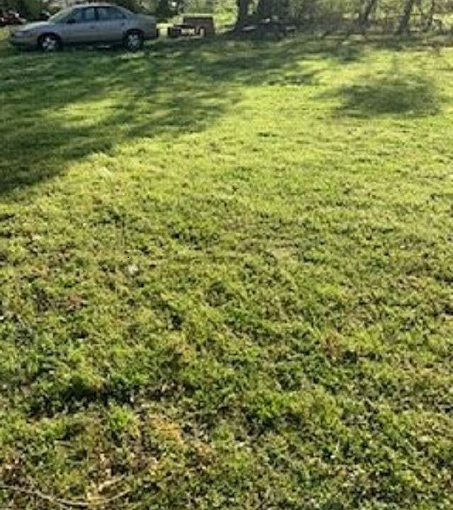 2nd image of 924 Scott Ave