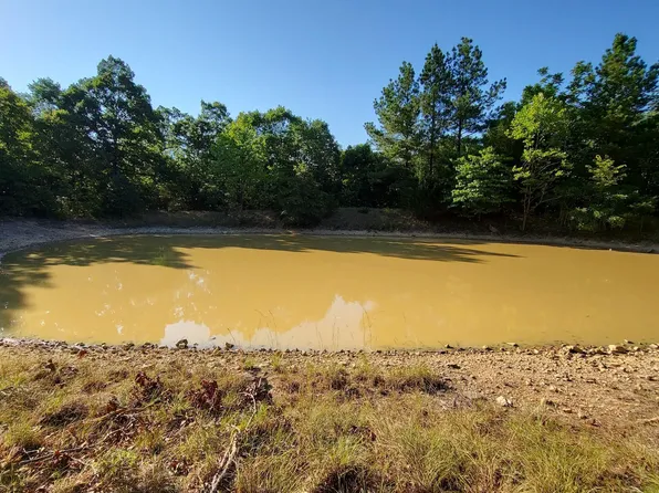 (undisclosed Address), Salem, AR 72576