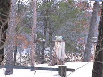 2nd image of 11302 State Highway 21