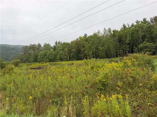 Adams Rd Lot 22, Harford, NY 13784