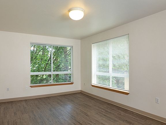 Large Windows for Natural Light with Window Coverings