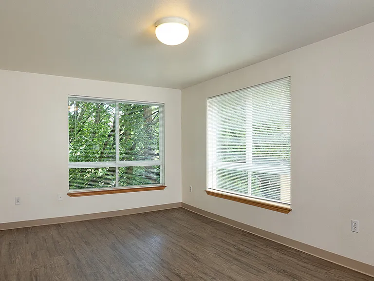 Large Windows for Natural Light with Window Coverings