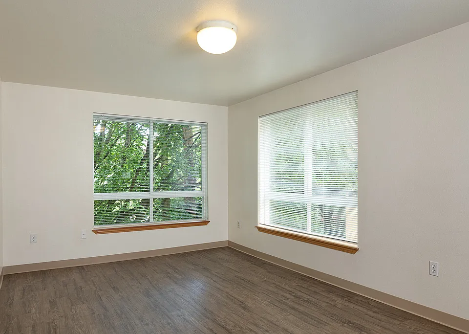 Large Windows for Natural Light with Window Coverings