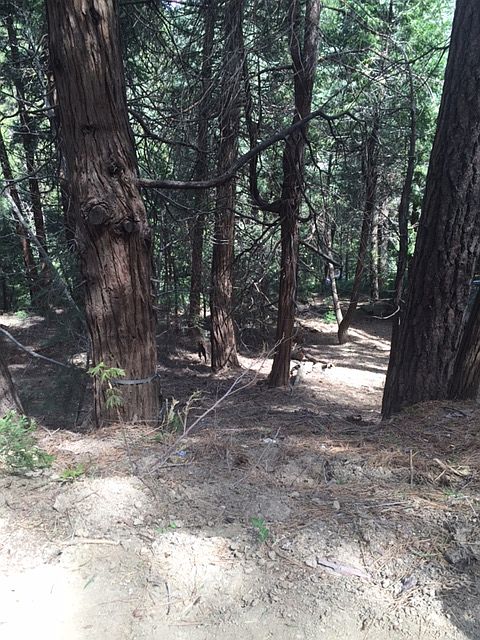 2nd image of Lake View Dr