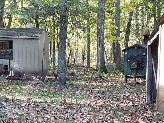  wood boiler (green bldg)
