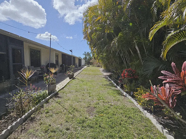 Back yard