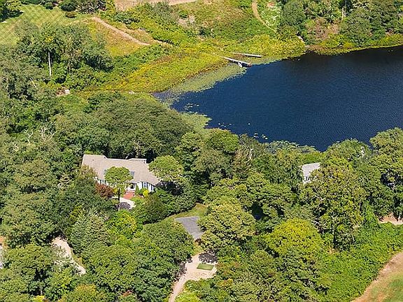 Pond View