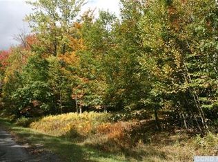 299 Wilderness Dr, East Jewett, NY 12424