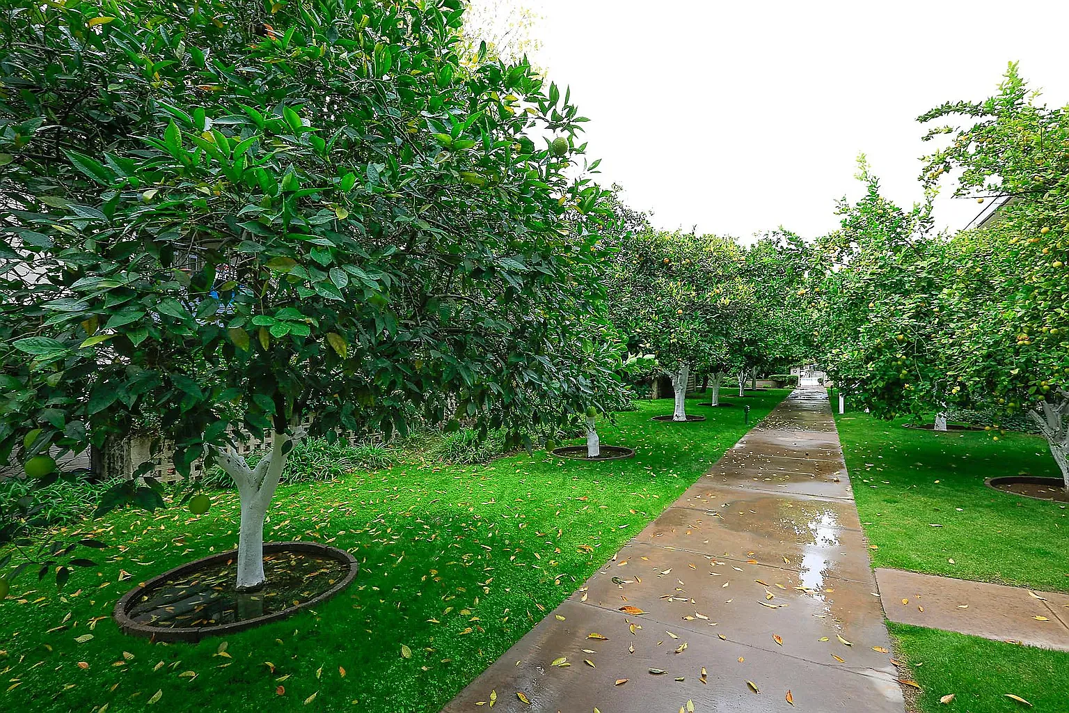 The Hibiscus Biltmore Apartments — Photo 4
