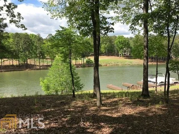 1190 Curtright Pl, Greensboro, GA 30642
