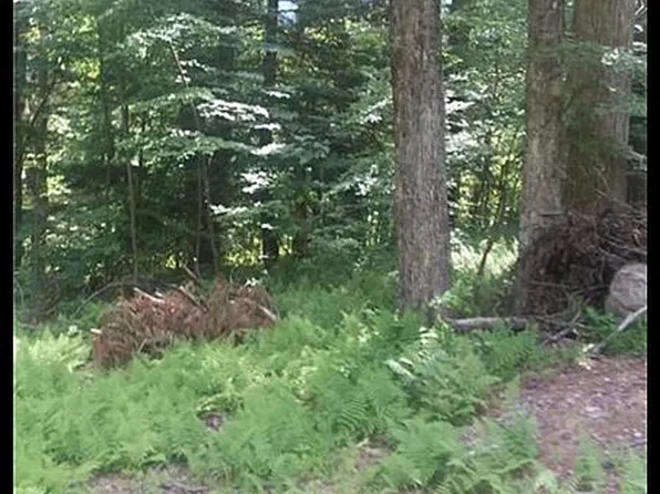 Mount Laurel Rd, Wawarsing, NY 12435