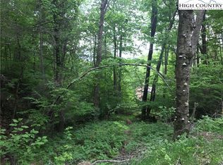 207 Foxgrape Hollow Rd, Banner Elk, NC 28604