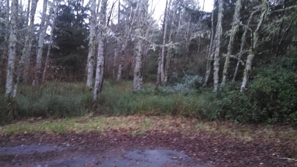 1st image of 662 Sea Mast Ct Ne Ocean Shores Wa
