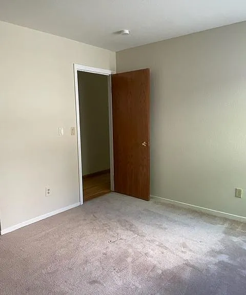 335 Live Oak Dr — Photo 19