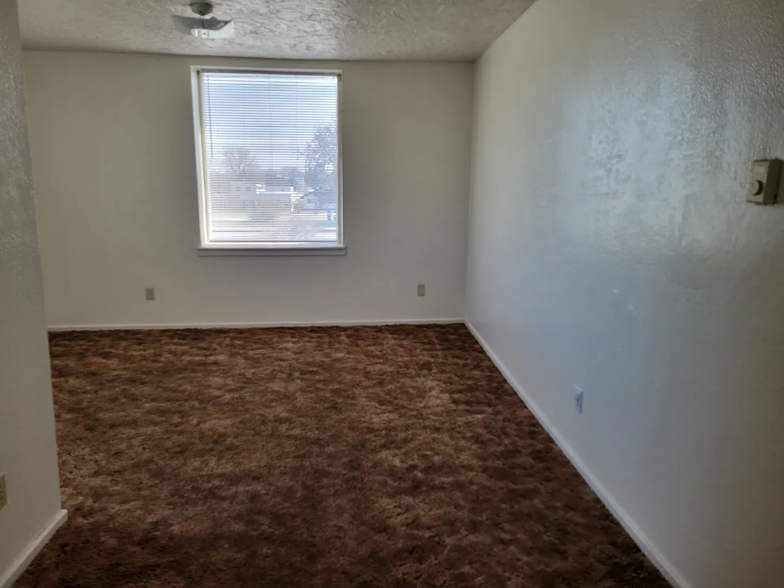 1 bed, $600 — Photo 4