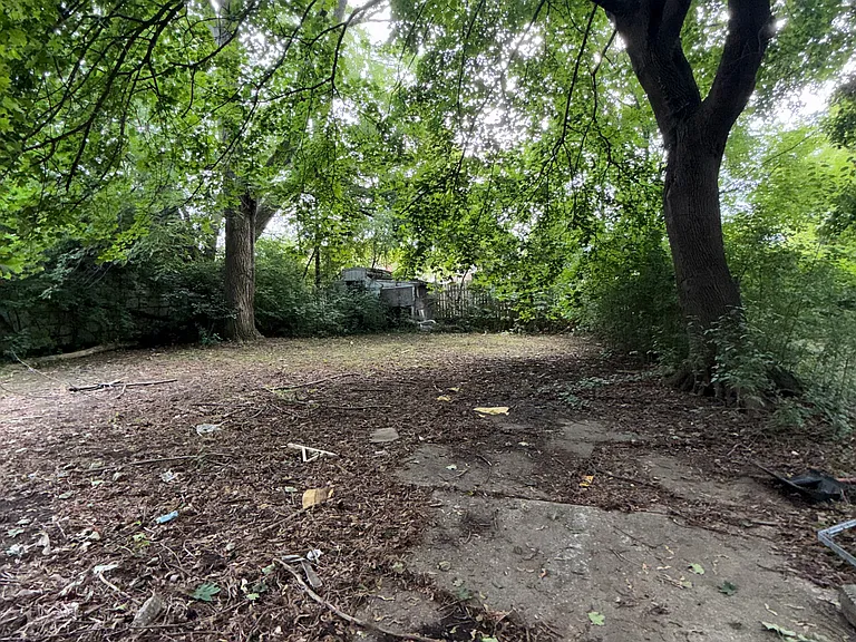 Nice size back yard