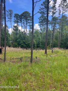 1048 Pawnee Drive LOT 110 & 111, Lincolnton, GA, 30817