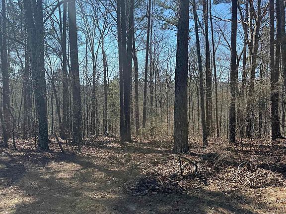 2nd image of 0 Oyler Rd