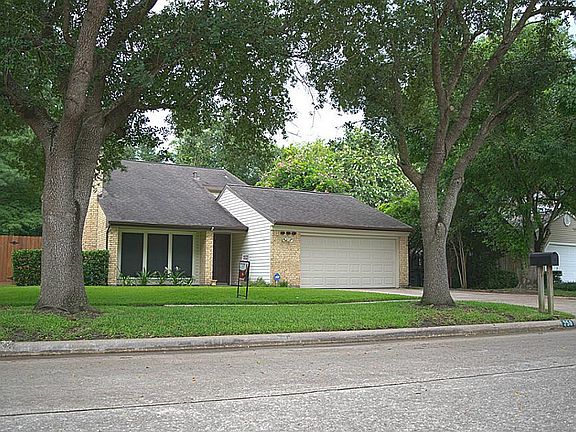 Check out these Mature Shade Trees!