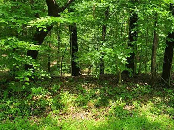 217-218-0 Sand Dr, Murray, KY 42071