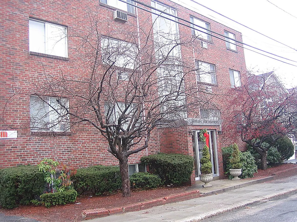 Building Photo - 39 & 41 Shepard Street