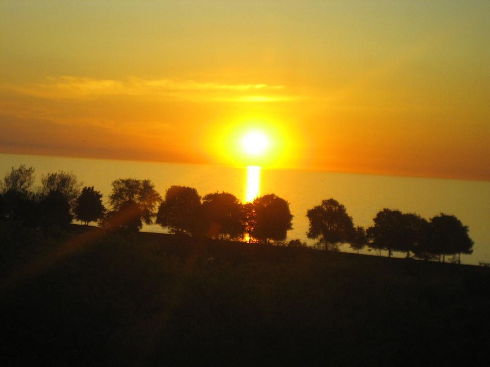 Morning view in spring