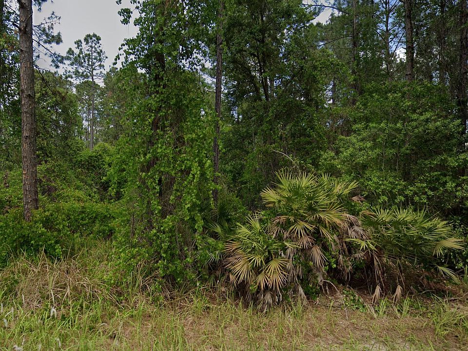 2nd image of 138 Pine Tree Drive
