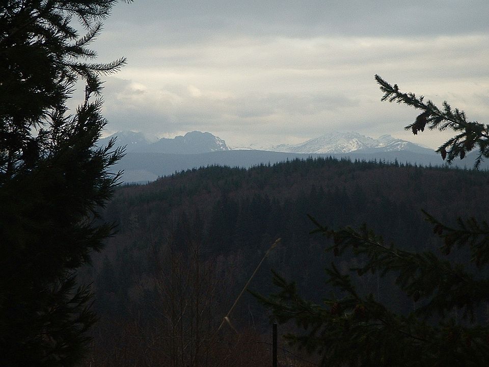 Winter view from the cabin