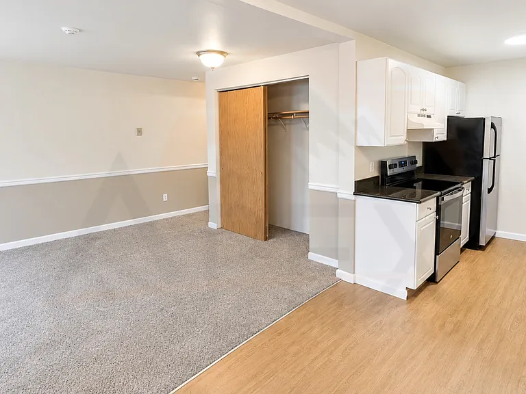 Functional open-concept studio with a convenient kitchen layout, ample cabinet storage, and easy flow into the living area.