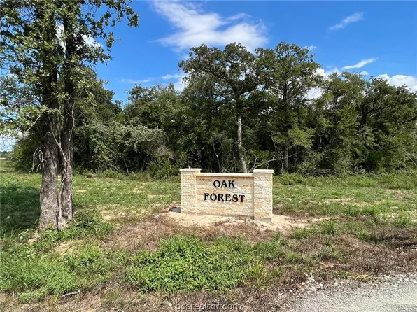 TRACT One Sawmill Rd, Franklin, TX 77856