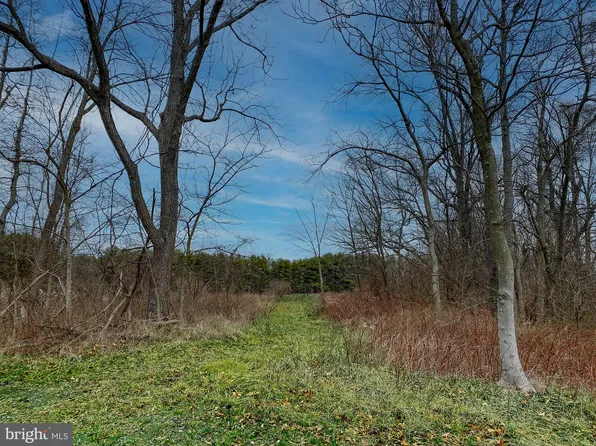 Simmons Rd, Purcellville, VA 20132