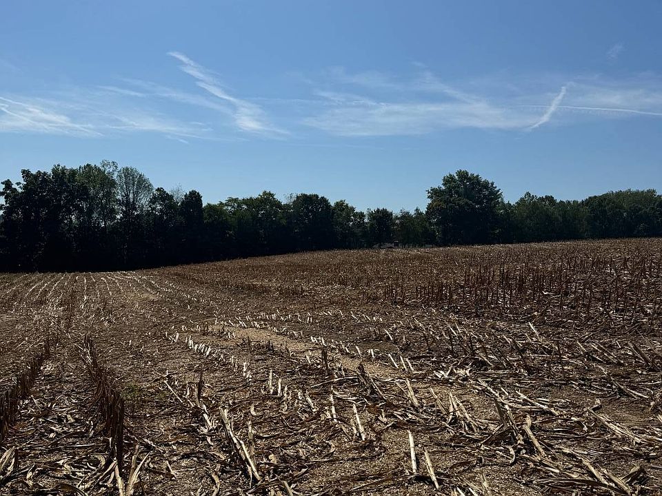 2nd image of 2129 Burkesville Rd