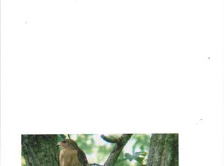 168 Howard Rd, Barnesville, GA 30204