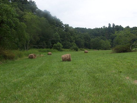 4th image of Poplar Hill Dr Lot 2