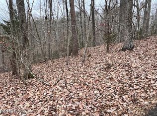 Polly Mountain Rd, Madisonville, TN 37354