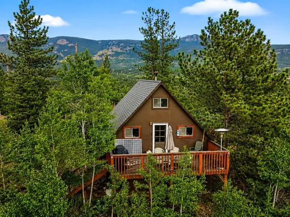 229 Mcdougal Road, Bailey, CO 80421