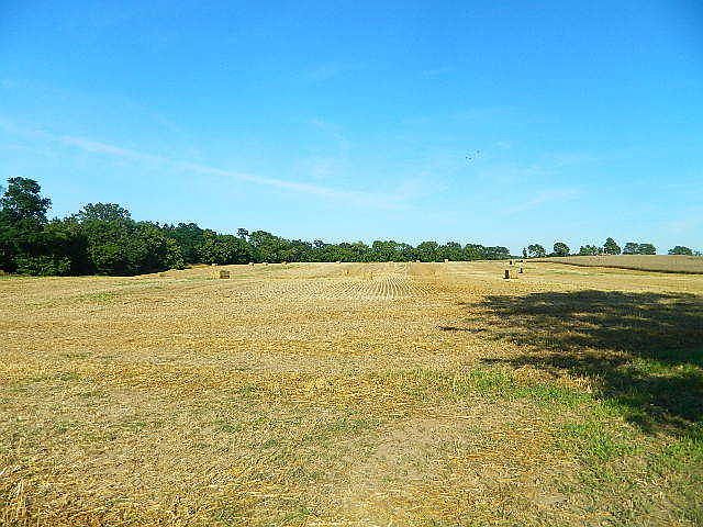 2nd image of LT1 S Oak Rd