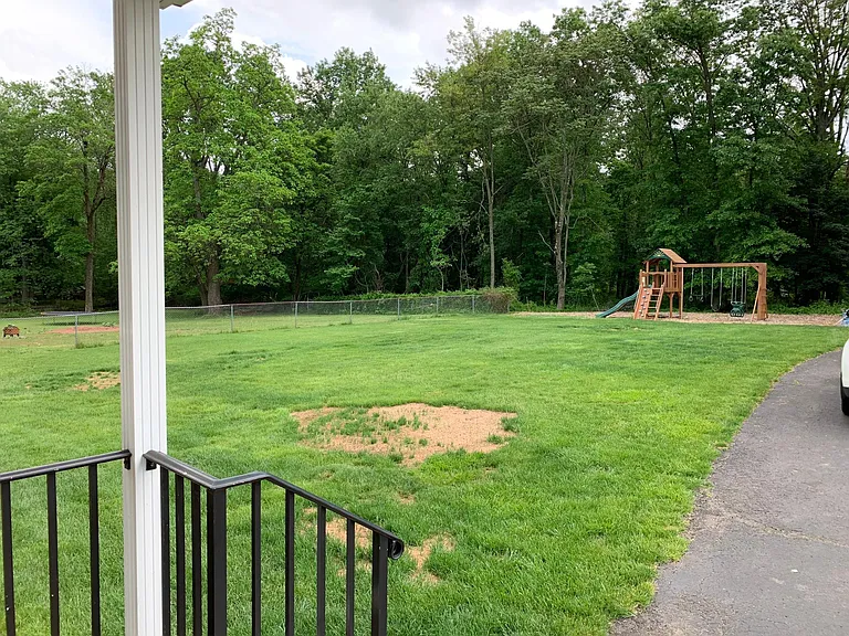 Back yard