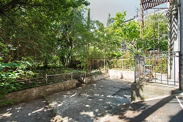 Rented by Bold New York