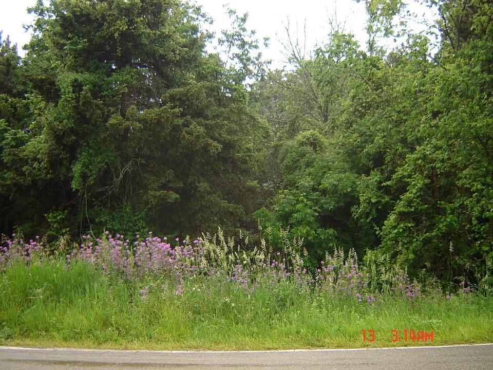 1st image of S Scenic Dr