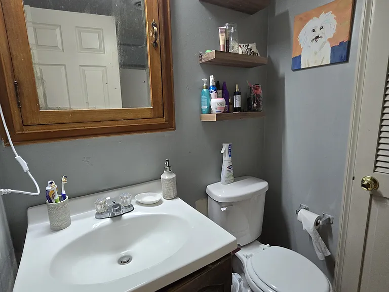1239 Buena Vista St #1 — Photo 12