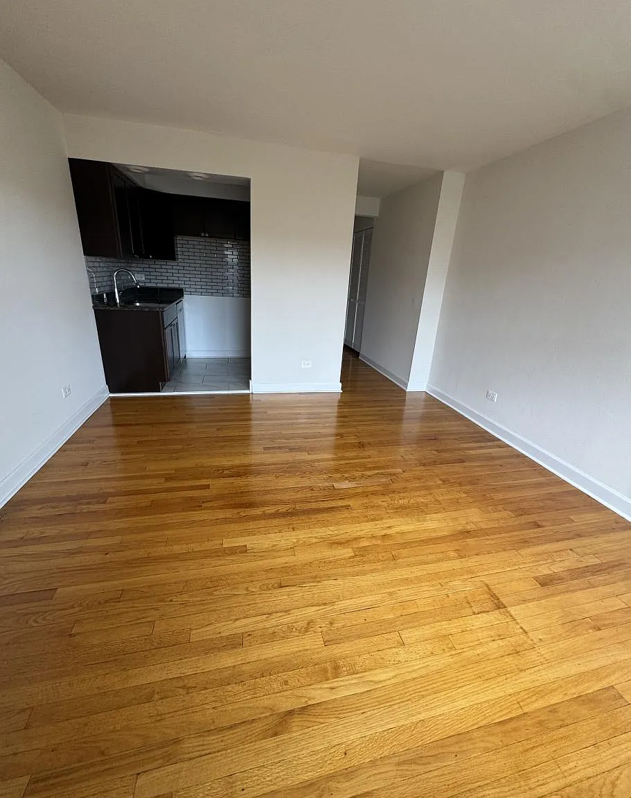 6830 North Sheridan Road #266 — Photo 2