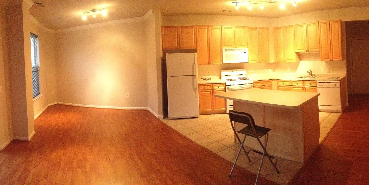 1 bed, 853 sqft, $2,000 — Photo 2